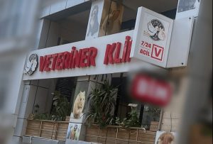 7 24 Açık Acil Nöbetçi Veteriner Leylek Vet Maltepe Küçükyalı 2