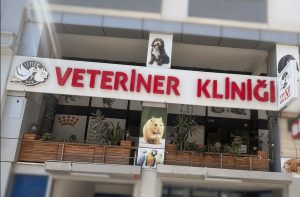 7 24 Açık Acil Nöbetçi Veteriner Leylek Vet Maltepe Küçükyalı